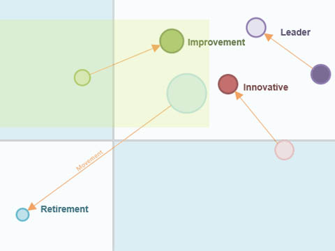 Application Portfolio Management